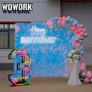 WOWORK 3英尺可拆卸遥控金属RGB框架霓虹灯数字0-9生日婚礼派对活动装饰