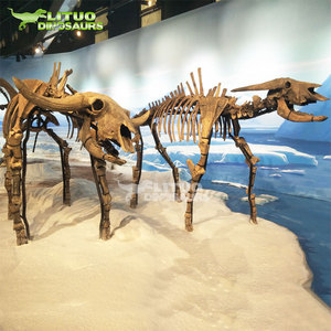 Squelette de <span class=keywords><strong>tigre</strong></span> à dents de <span class=keywords><strong>sabre</strong></span> en résine pour exposition muséale - Product Image 6