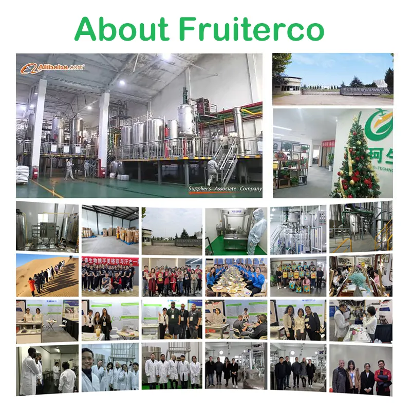 Fruiterco toplu Cotinus Coggygria Fisetin özü tozu 98% Fisetin