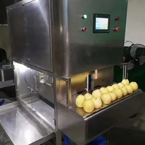 Bonne Qualité peau du fruit éplucheur automatique apple peeling coupe carottage machines