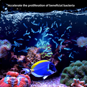 Aqua Excel AE-HPL180/230 <span class=keywords><strong>Aquarium</strong></span> Gefluïdiseerde Rollerreactor Biologische Afbraak Voor Koraalrif Zoutwatertanksysteem - Product Image 4