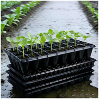 Plateau de semis agricole à 105 alvéoles pour la propagation des plantes