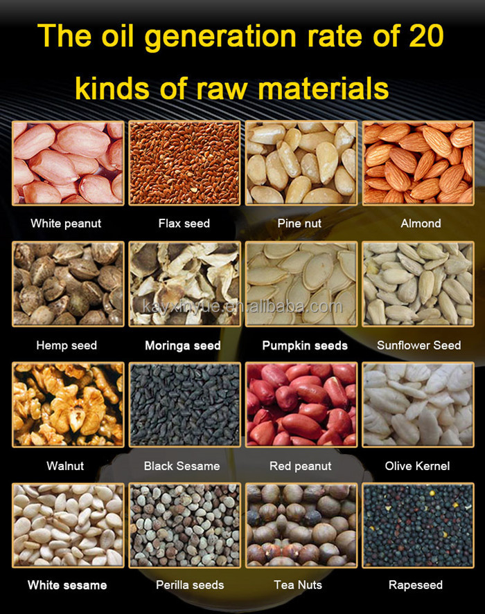 Groundnut oil extraction machine price and black seed oil press machine for sale