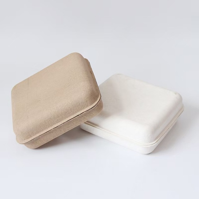 Customized Biodegradable Pulp Packaging Boxes Eco Friendly Dry Pressing Molded Fiber Cartons for Retail Shipping