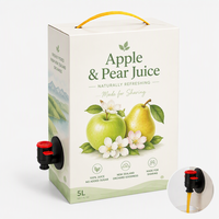 Sacs jetables Bag-in-Box avec robinet pour jus, vin, eau, sirop, liquides alimentaires, boissons – Emballage souple imprimé sur mesure