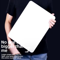 Lumière d'appoint plate à haute luminosité de 19 pouces avec télécommande 2,4 G, objectif RL-24, vente chaude transfrontalière, directement du fabricant