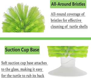 Cepillo exfoliante <span class=keywords><strong>de</strong></span> tortuga exfoliante con ventosa Shell Clean tortugas cepillo para rasguños en la espalda para eliminar tortuga Shell Scutes <span class=keywords><strong>barro</strong></span> suciedad - Product Image 3