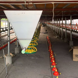 Nuevo Equipo de Alimentación Automática de Plástico para Avicultura, Sistema de Comederos para Pollos de Engorde - Product Image 2