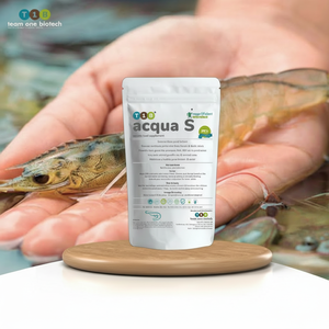 Amélioration de la clarté de l'eau et de l'oxygène Probiotiques d'aquaculture pour l'élevage de crevettes - Product Image 1