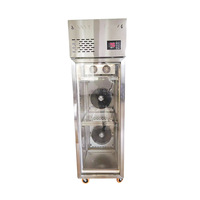 Armoire de séchage intelligente en acier inoxydable pour canard rôti avec lumière LED Remise d'usine pour barbecue boutique embryon réfrigéré