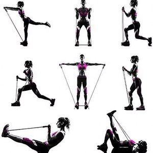 Resistance <b>Bands</b> With Handles Exercise <b>Workout</b> for Men Women Strength Training Equipment at Home 5 Levels Tube <b>Band</b> Pull Rope - Product Image 4