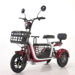 800W 48V Electric Trike 600W Electric Tricycle with Baby Seat Adult-Friendly Three Wheel Bike Iron Body Open Type