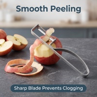 Handmatige scherpe roestvrijstalen keuken fruit- en groenteschiller met antislip handvat