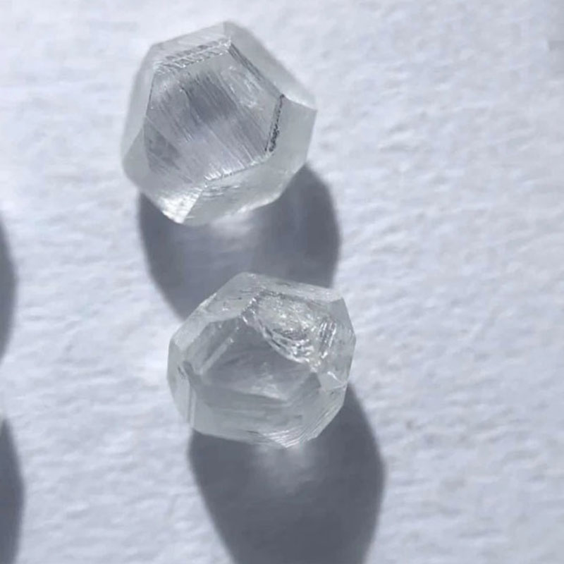 1 Carat Up Uncut Thô Trắng Phòng Thí Nghiệm Grown HPHT CVD Tổng Hợp Kim Cương Thô Kim Cương Giá Mỗi Carat