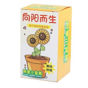 Mini Piante in Vaso Fai-da-Te, Articoli Artigianali, <span class=keywords><strong>Attività</strong></span> Scolastiche, Regali per le Vacanze dei <span class=keywords><strong>Bambini</strong></span>, Micro Piante Verdi - Product Image 5