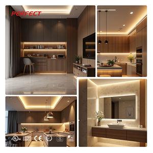 Bande LED SMD2835 tout-en-un homologuée UL/CE - 240LED/M Double CCT Double IP20/67 48V 20W/M Bestseller Europe-USA - Product Image 2