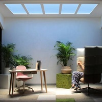 Lumière LED de simulation intelligente de lucarne avec télécommande et application pour hall d'hôtel ou usage commercial intérieur