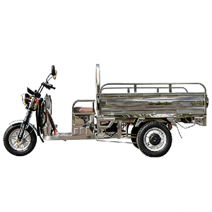Triciclo de Acero Inoxidable para Transporte de Mercancías, Uso Agrícola y Pesquero, Scooter de Carga Doméstico - Product Image 1