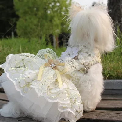 Delicacy luxury Pet Dog Cat Skirt Sequined embroidered lace Dress Clothes evening dress wedding