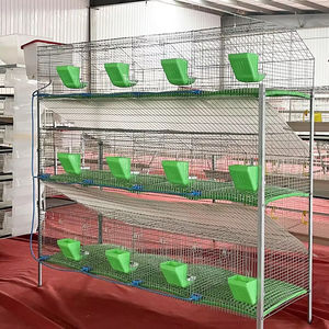Jaula de animales pequeños galvanizada en caliente, casa de conejo de cría con caja nido adjunta, jaulas de conejo de nueva condición en venta - Product Image 2