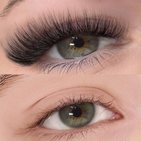 Extensions de cils en forme de Y, noir mat, 0,07C 0,07D, longues et naturelles, courbure D, cils doux, TDANCE YY Eyelashes
