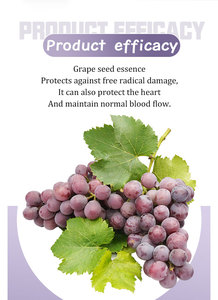 Cápsulas de extracto de semilla de pomelo sin gluten, suplemento herbal consciente de plantas para adultos, promueve el crecimiento del cabello - Product Image 4