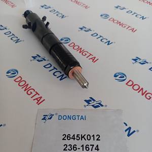 Inyector de combustible diésel de suministro al por mayor 2645K016 2645k012 - Product Image 3