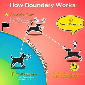 Collier Électronique Sans Fil GPS Invisible Rpz pour Chien avec Application, Système d'Entraînement pour Animaux de Compagnie Sans Abonnement, Orange - Product Image 6