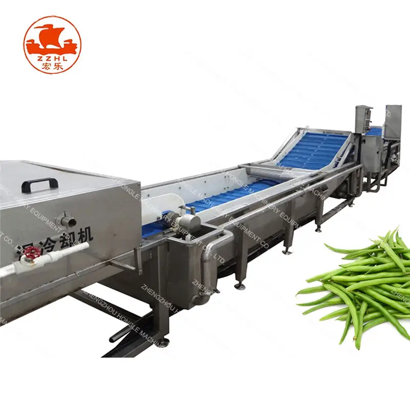 IQF Freezing Process and IQF Fruit Tunnel Freezer Frozen Fruit Vegetable processing line