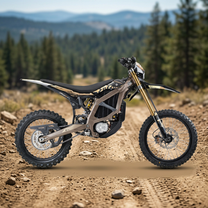 Nueva Motocicleta Todoterreno Eléctrica Bee 74V sin Escobillas de 24.5kW, 95km/h, para Uso Industrial y DIY, con 3 Años de Garantía (2026) - Product Image 2