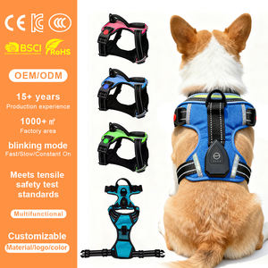 Dây Dẫn Chó Có Đèn LED, Thiết Kế Lưới Nylon An Toàn Ngoài Trời QCool, Có Thể Tùy Chỉnh, Định Vị GPS, Dành Cho Đơn Hàng Quốc Tế - Product Image 1