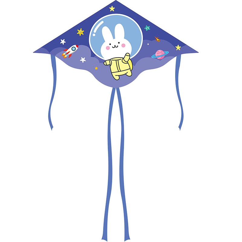 Lapin du ciel étoilé