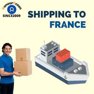 Agente de carga chino a granel Ddp para productos Fcl Lcl, agente logístico marítimo Ddp libre de impuestos, incluida Clear France - Product Image 5