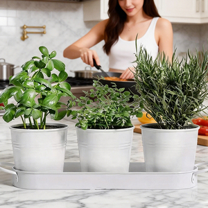 Jardinière en métal <span class=keywords><strong>pour</strong></span> jardin d'herbes, <span class=keywords><strong>pot</strong></span> <span class=keywords><strong>de</strong></span> fleurs <span class=keywords><strong>pour</strong></span> intérieur et extérieur, <span class=keywords><strong>rebord</strong></span> <span class=keywords><strong>de</strong></span> fenêtre, mini pots <span class=keywords><strong>de</strong></span> fleurs, ensemble <span class=keywords><strong>de</strong></span> pots <span class=keywords><strong>pour</strong></span> plantes succulentes, <span class=keywords><strong>pour</strong></span> plantes d'intérieur - Product Image 2
