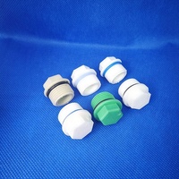 Vente directe d'usine, raccords de tuyauterie en plastique PPR, petit filetage mâle, bouchon de vidange, couleur blanche avec joint torique
