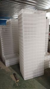 Nouveau Panier de Transport en Plastique pour Poussins, Adapté à <span class=keywords><strong>l</strong></span>'Incubateur d'Œufs - Product Image 6