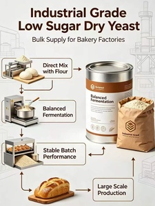 <span class=keywords><strong>Levadura</strong></span> Seca de Grado Alimenticio Baja en Azúcar, Sin Necesidad de Preactivación, para la Elaboración de Baguettes y Alimentos al Vapor - Product Image 3