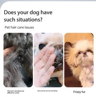 Peigne pour animaux de compagnie en caoutchouc et acier inoxydable, écologique, confortable, durable, multifonctionnel, pour le toilettage des chiens et des chats, fournitures pour animaux de compagnie d'intérieur