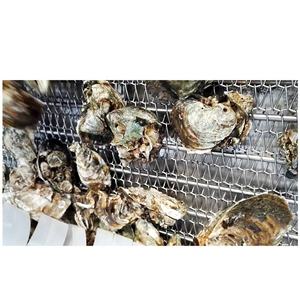 Bomba de agua de alta presión, limpiador de pulverización para acuicultura, almejas de mariscos y máquina de limpieza de arena para eliminación de ovejas - Product Image 5