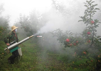 Pulvérisateur à dos agricole de machine de brumisation thermique d'essence portative de Offre Spéciale avec le composant de pompe de noyau