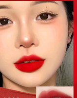 Rouge à lèvres mat velours longue durée de marque de luxe en stock pour un maquillage minéral imperméable de haute qualité