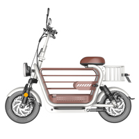 Scooter électrique pliable 48V 500W avec pneus de 14 pouces, deux sièges, mini cyclomoteur électrique avec siège enfant, scooter pour animaux de compagnie