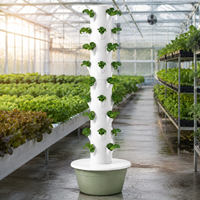 Tour de jardinage verticale d'intérieur à 9 niveaux, système de culture hydroponique automatique pour la culture de légumes