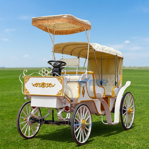 Offre Spéciale : Calèche Électrique Touristique de Qualité Supérieure pour Parcs – Prix Usine - Product Image 1