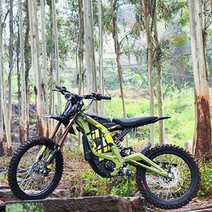 Vélo électrique <span class=keywords><strong>de</strong></span> montagne et <span class=keywords><strong>de</strong></span> ville tout-terrain pour hommes, dernier modèle Light Bee X, moteur central, batterie au lithium, frein à disque, 75 km/h - Product Image 1