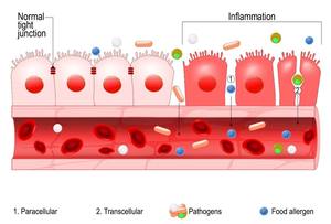 QYherb, оптовая продажа, высокое качество, порошок колострома Новой Зеландии <span class=keywords><strong>IgG</strong></span> 10%-35% - Product Image 3