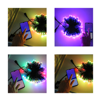 E-top 12MM DMX Light 12V 100CT WS2811 RGB Led Pixel Lights Impermeable WS2801 Cuerdas