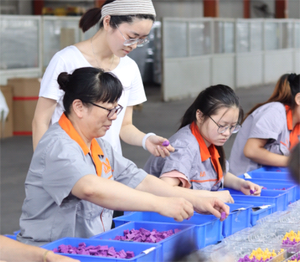 Chất lượng cao nhân vật bằng gỗ meeples tiêu chuẩn bằng gỗ meeples trò chơi thành phần trò chơi bit trò chơi miếng nhà sản xuất tại Trung Quốc - Product Image 6