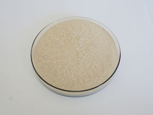 ผู้ผลิตซัพพลายเอนไซม์ Amyloglucosidase - Product Image 5