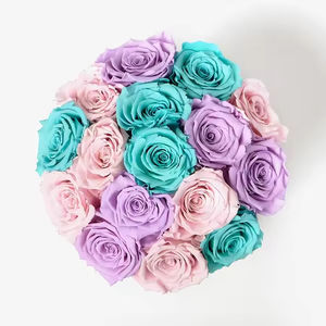 Boîte de roses <span class=keywords><strong>éternel</strong></span>les à fleurs séchées naturelles <span class=keywords><strong>éternel</strong></span>les Roses préservées boîte de dôme de champignon pour la décoration de la maison de la fête des mères - Product Image 4
